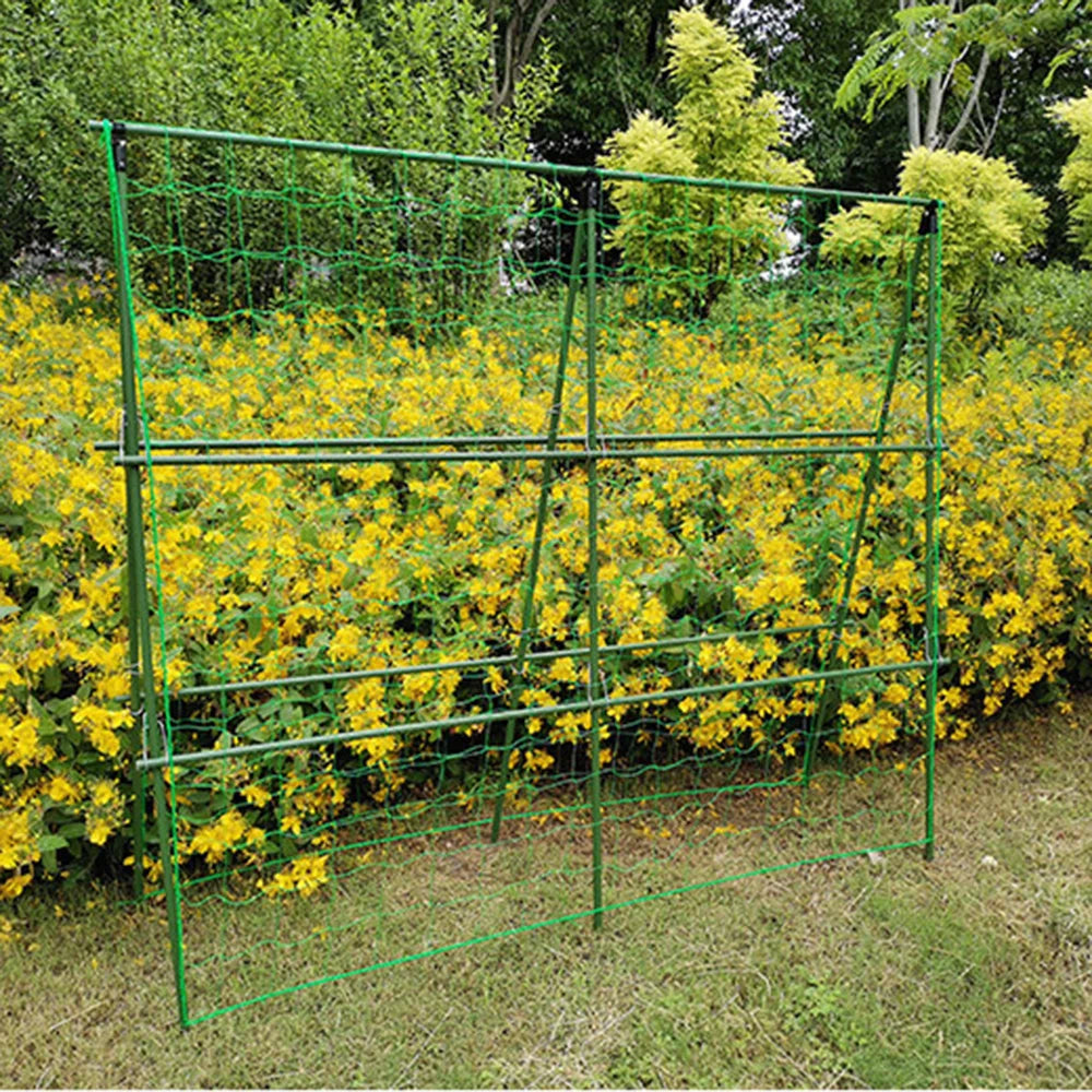 NEW Hi-quality Nylon Garden Netting Loofah Morning Glory Flowers Vine Plants Climbing Net Cucumber Vine Grow Holder Brackets