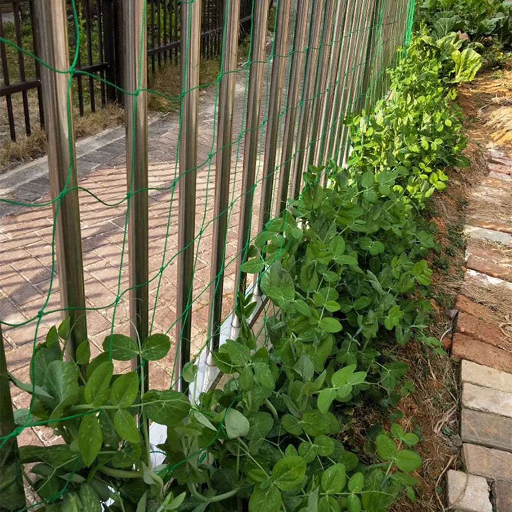 NEW Hi-quality Nylon Garden Netting Loofah Morning Glory Flowers Vine Plants Climbing Net Cucumber Vine Grow Holder Brackets