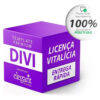 Tema Divi Wordpress + Api (licença Vitalícia) Entrega Rápida